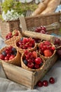 Ice cream cornets filled with fresh berries Royalty Free Stock Photo