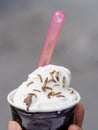 Ice cream with edible insect topping. Small larvae mealworms and chocolate covered grasshopper pieces. Protein for the