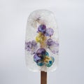 Ice cream with dry fkowers. Transparent popsicle, frozen ice. Royalty Free Stock Photo