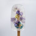 Ice cream with dry fkowers. Transparent popsicle, frozen ice. Royalty Free Stock Photo
