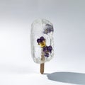 Ice cream with dry fkowers. Transparent popsicle, frozen ice. Royalty Free Stock Photo