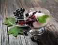 Ice cream with fruit jam Royalty Free Stock Photo