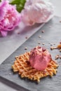 A scoop of berry ice cream on a wafer with chocolate chips on a slate plate on a gray concrete table against a Royalty Free Stock Photo