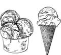 Ice cream in a glass vector graphics line art. Ice cream in a waffle glass. Sweet pastries for menus, printing and