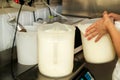 Ice cream ingredients mix together with blender. Female chef is mixing milk and preparing basics for ice cream production.