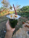 ice cream made from leaves