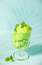 Ice cream with mint leaves in a glass Royalty Free Stock Photo