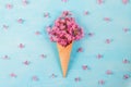 Ice cream of pink blossom cherry flowers in waffle cone on pastel colored blue background with buds. flat lay. top view Royalty Free Stock Photo