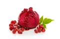 Ice cream with pomegranate. Royalty Free Stock Photo