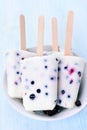 Ice cream popsicles from yogurt and blueberry