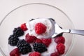 Ice cream with raspberry, blackberry berries with spoon in glass bowl on white background Royalty Free Stock Photo