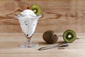 Ice cream and ripe kiwis Royalty Free Stock Photo