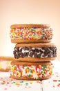 Ice cream sandwiches vanilla with colorful topping