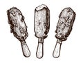 Ice cream set. Delicious chocolate dessert sketch. Popsicle with fruit topping Royalty Free Stock Photo