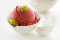 Ice cream - sorbet Royalty Free Stock Photo