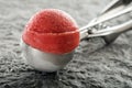 Ice cream - sorbet Royalty Free Stock Photo