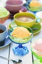 Ice Cream, Sorbet, and Tea on Picnic Table Royalty Free Stock Photo