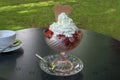 Ice cream sundae with strawberries and whipped cream served in a glass bowl on a table in the garden cafe, copy space, selected Royalty Free Stock Photo