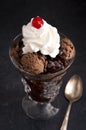 Chocolate Ice Cream Sunday Royalty Free Stock Photo