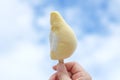 Ice cream taste Durian Stick