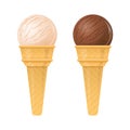 Ice Cream Vanilla and Chocolate Vector Illustration