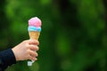 Ice cream waffle cone in hand on blurred green park background. Selective focus and copy space Royalty Free Stock Photo