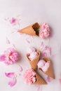 Ice cream in a waffle cone on a light background. Strawberry ice cream. Flowers in a waffle cone. Pink carnations. Flowers on a wo Royalty Free Stock Photo