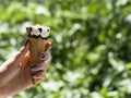 Ice cream cone in hand on blurred green background Royalty Free Stock Photo