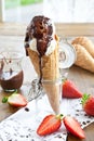 Ice cream in waffle cone Royalty Free Stock Photo