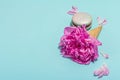 Ice cream waffle cones with peony and macarons on blue background. Sweet dessert, flower petals Royalty Free Stock Photo