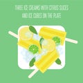 Ice creams popsicles with mint leaves, citrus slices and ice cubes