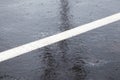 Ice crusted ground, icy road, slippery surface Royalty Free Stock Photo