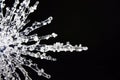 Ice Crystal Royalty Free Stock Photo