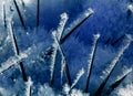 Ice crystal bizzar Royalty Free Stock Photo