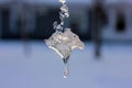 Ice crystal in detail