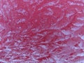 Ice crystal pattern Royalty Free Stock Photo