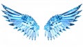 Ice Crystal Wings: Blue Fantasy Wings on White Background Royalty Free Stock Photo