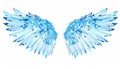 Ice Crystal Wings on White Background Royalty Free Stock Photo