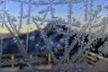 Ice crystall on window