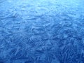 Ice crystals Royalty Free Stock Photo