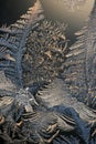Ice crystals Royalty Free Stock Photo