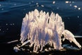 Ice crystals in backlight on a frozen lake a cold winter day Royalty Free Stock Photo