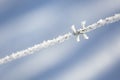 Ice Crystals On Barbed Wire Royalty Free Stock Photo