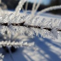 Ice crystals cover a thin brown branch forming intricate geometric Royalty Free Stock Photo