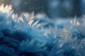 Ice crystals with delicate structures growing and sparkling in cold winter light Royalty Free Stock Photo