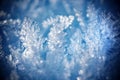 Ice crystals details Royalty Free Stock Photo