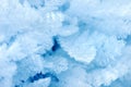 Ice crystals details Royalty Free Stock Photo