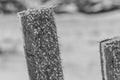 Ice Crystals on Fence Post Close Up Royalty Free Stock Photo