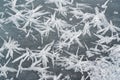 Ice crystals forming spike shapes on frozen river, closeup macro detail Royalty Free Stock Photo