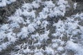 Ice crystals forming spike shapes on frozen river and sand, closeup macro detail Royalty Free Stock Photo